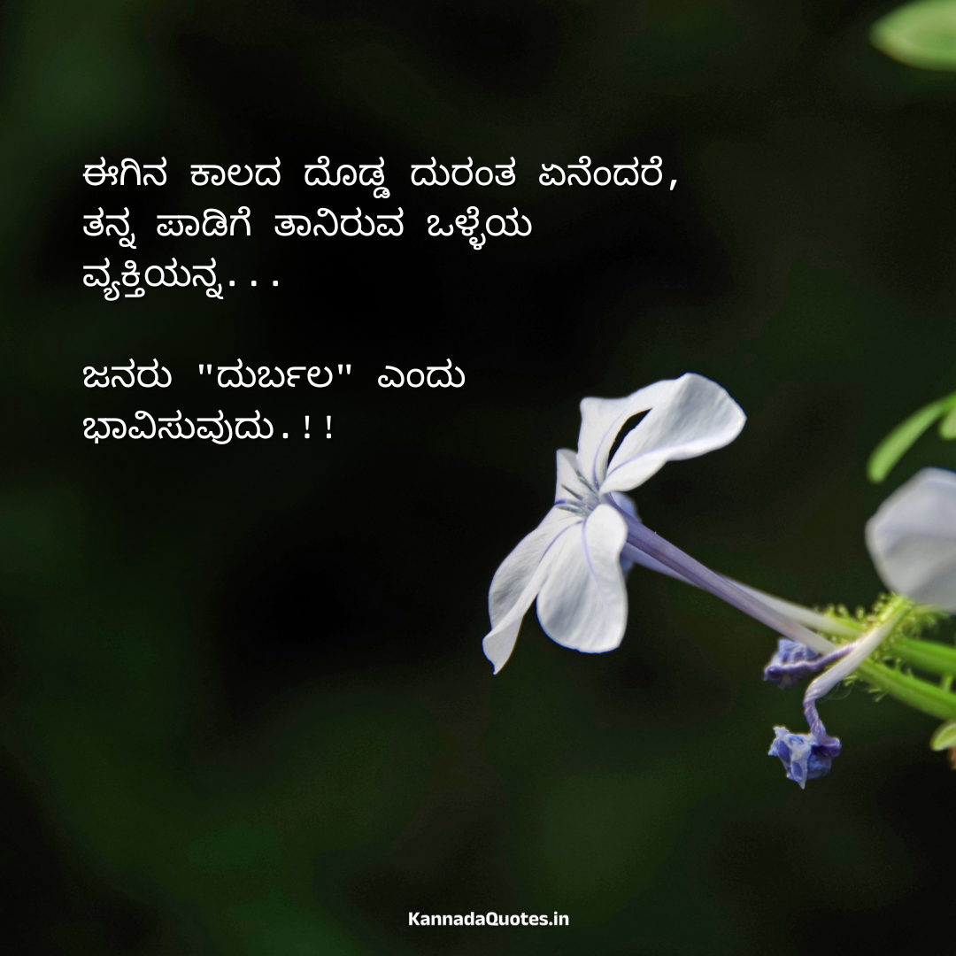 Collection Of Over 999 Kannada Thought Images In Stunning 4K Quality