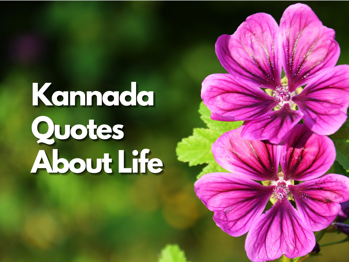 kannada quotes about life
